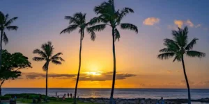 a beach in Hawaii