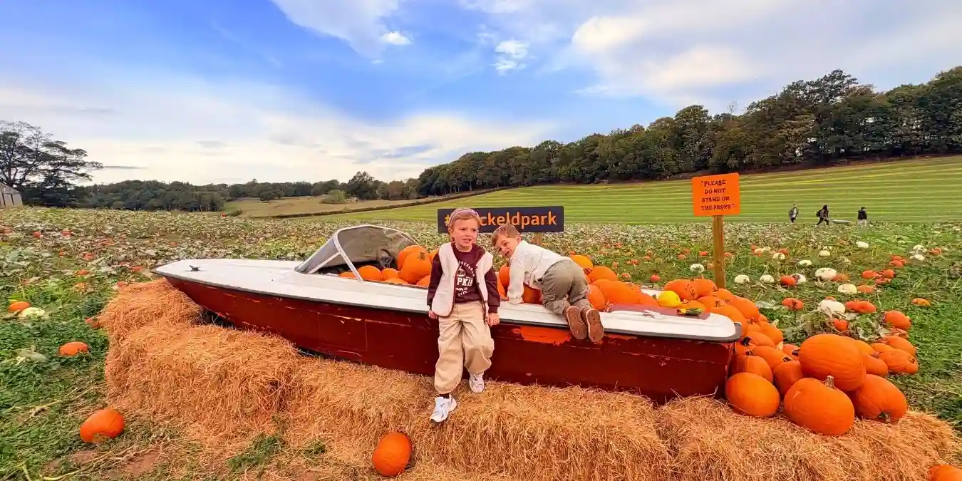 stockeld park at halloween