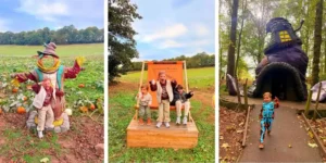 stockeld park at halloween