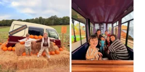 stockeld park at halloween